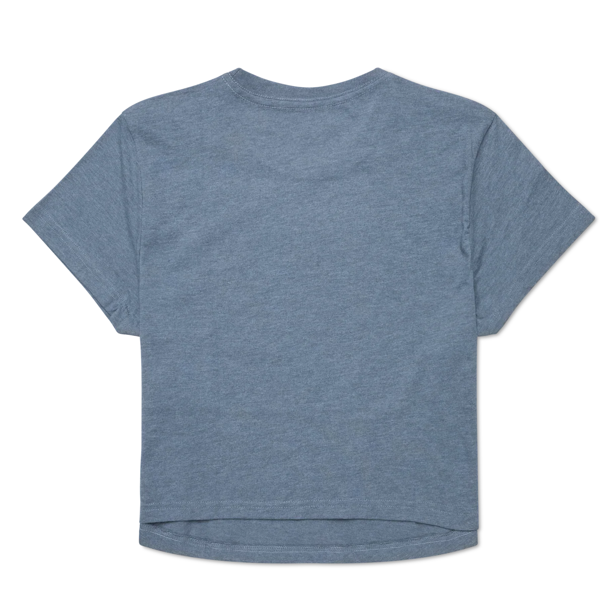 Tiny Llama Crop T-Shirt - Women's