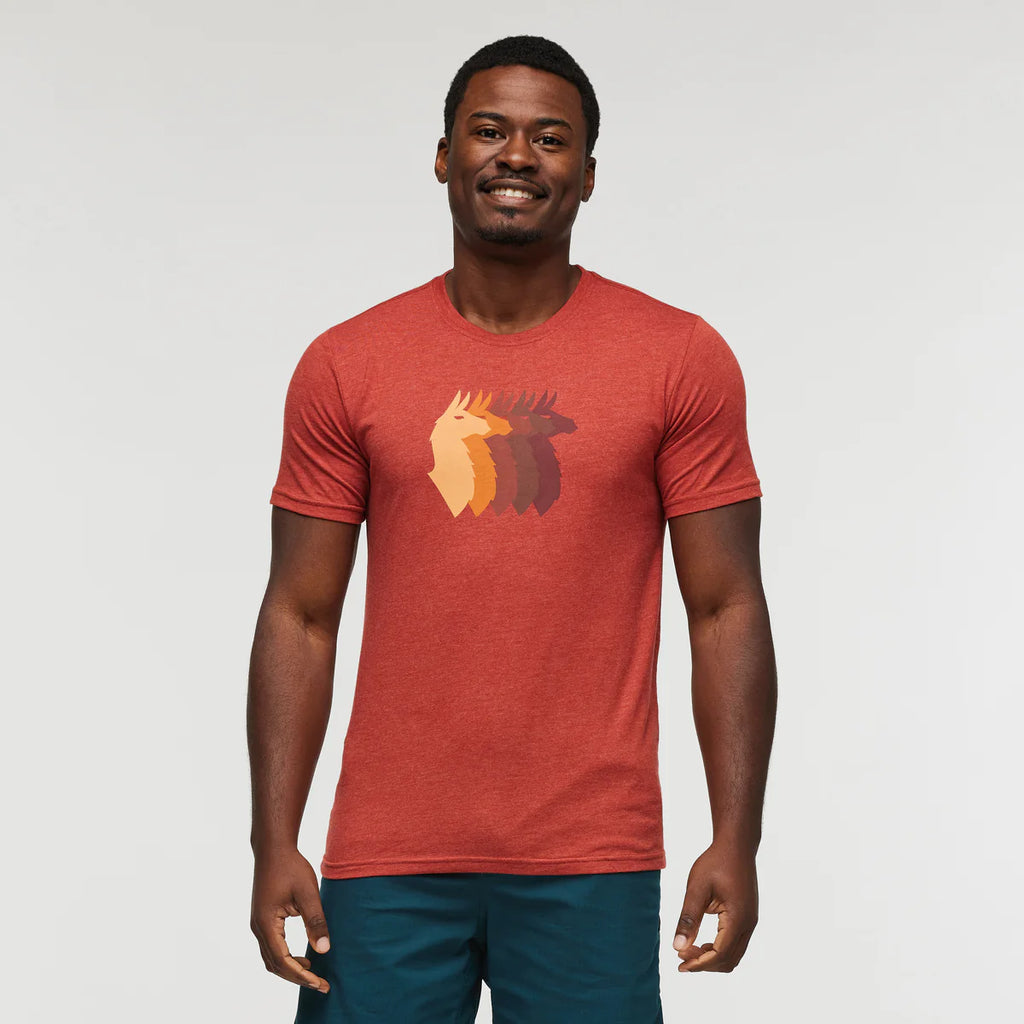 Llama Sequence T-Shirt - Men's