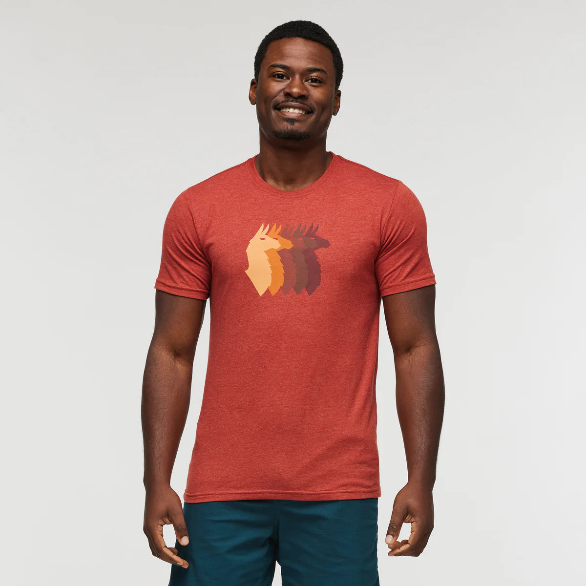 Llama Sequence T-Shirt - Men's