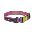 Del Día Dog Collar