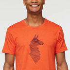 Topo Llama T-Shirt - Men's