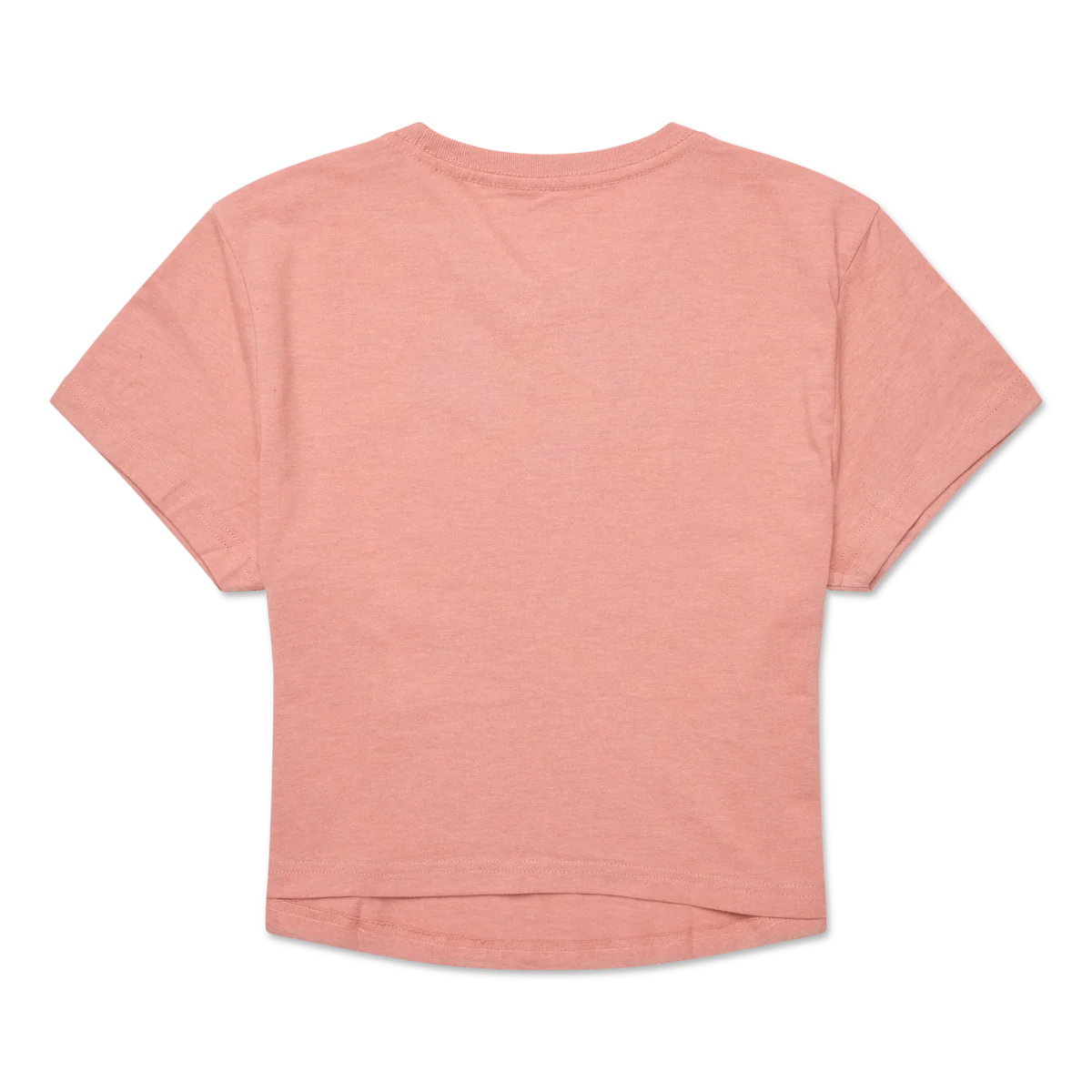 Tiny Llama Crop T-Shirt - Women's
