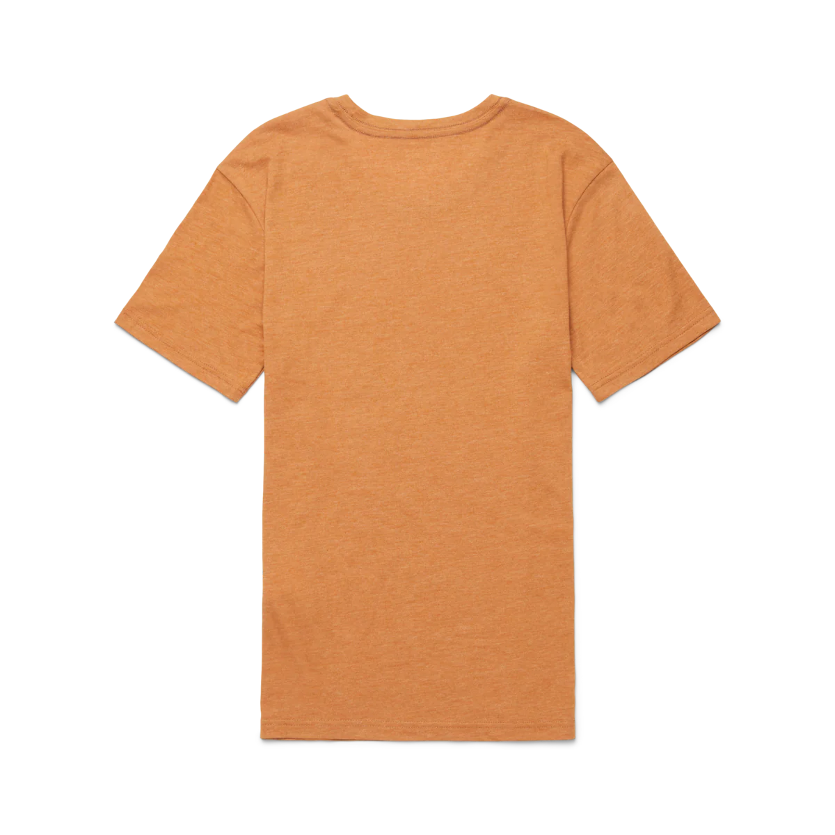 Traveling Llama T-Shirt - Women's