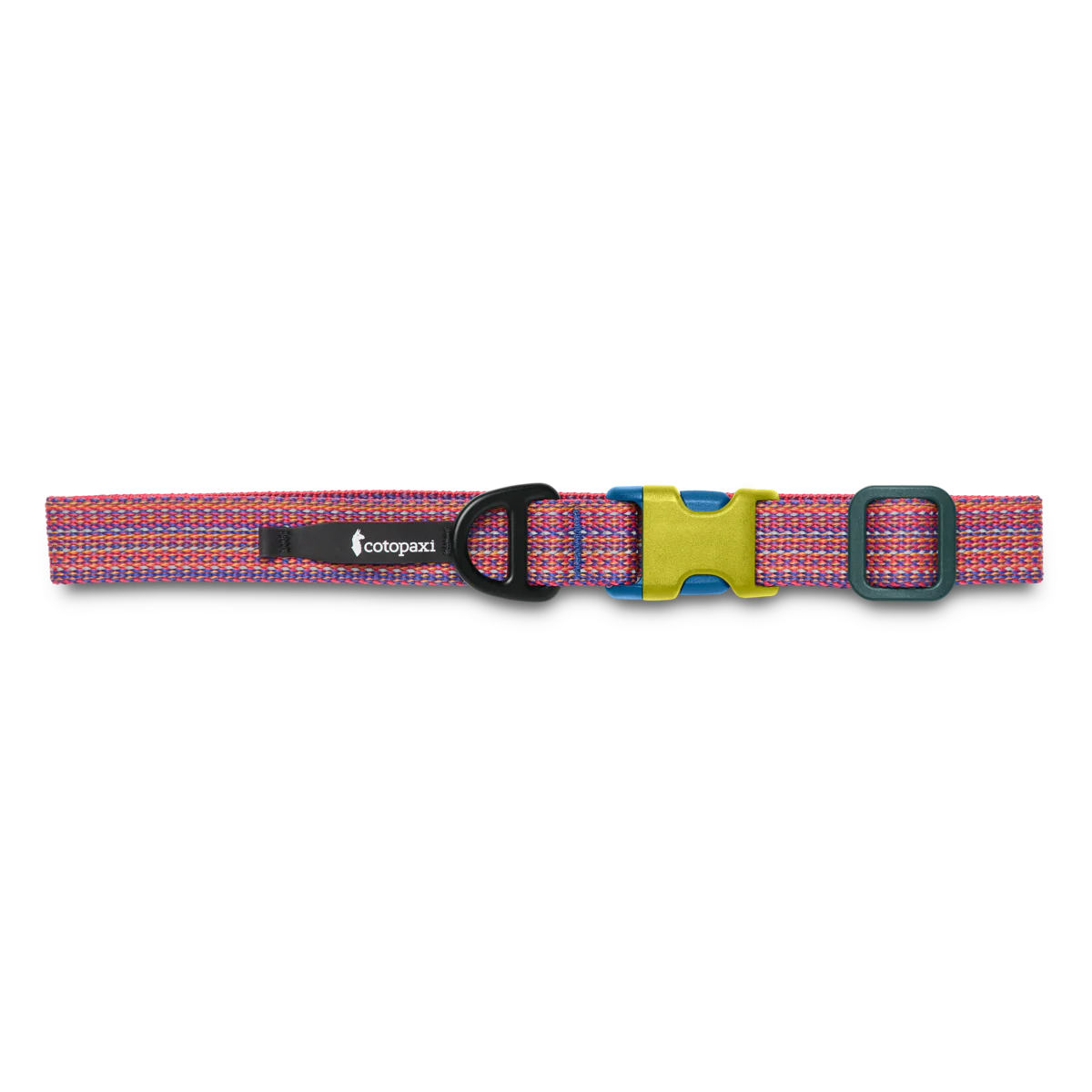 Del Día Dog Collar