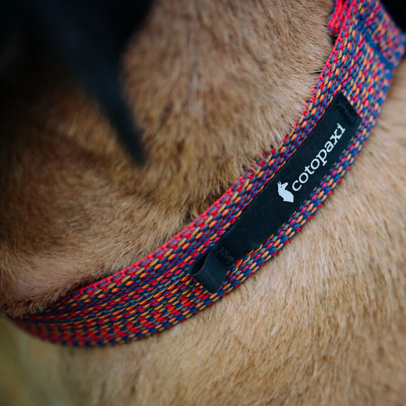 Del Día Dog Collar