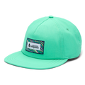 Making Waves Heritage Tech Hat