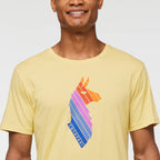 Llama Stripes T-Shirt - Men's