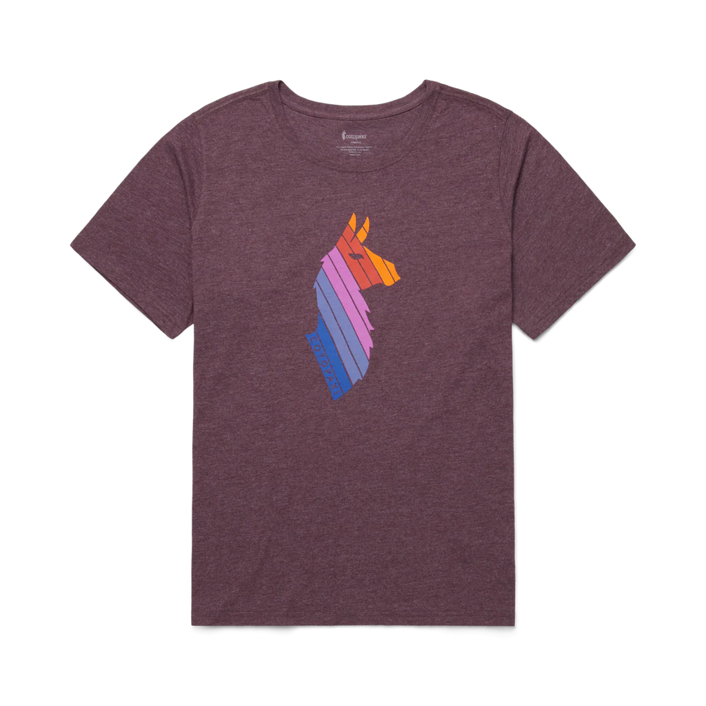 Llama Stripes T-Shirt - Women's