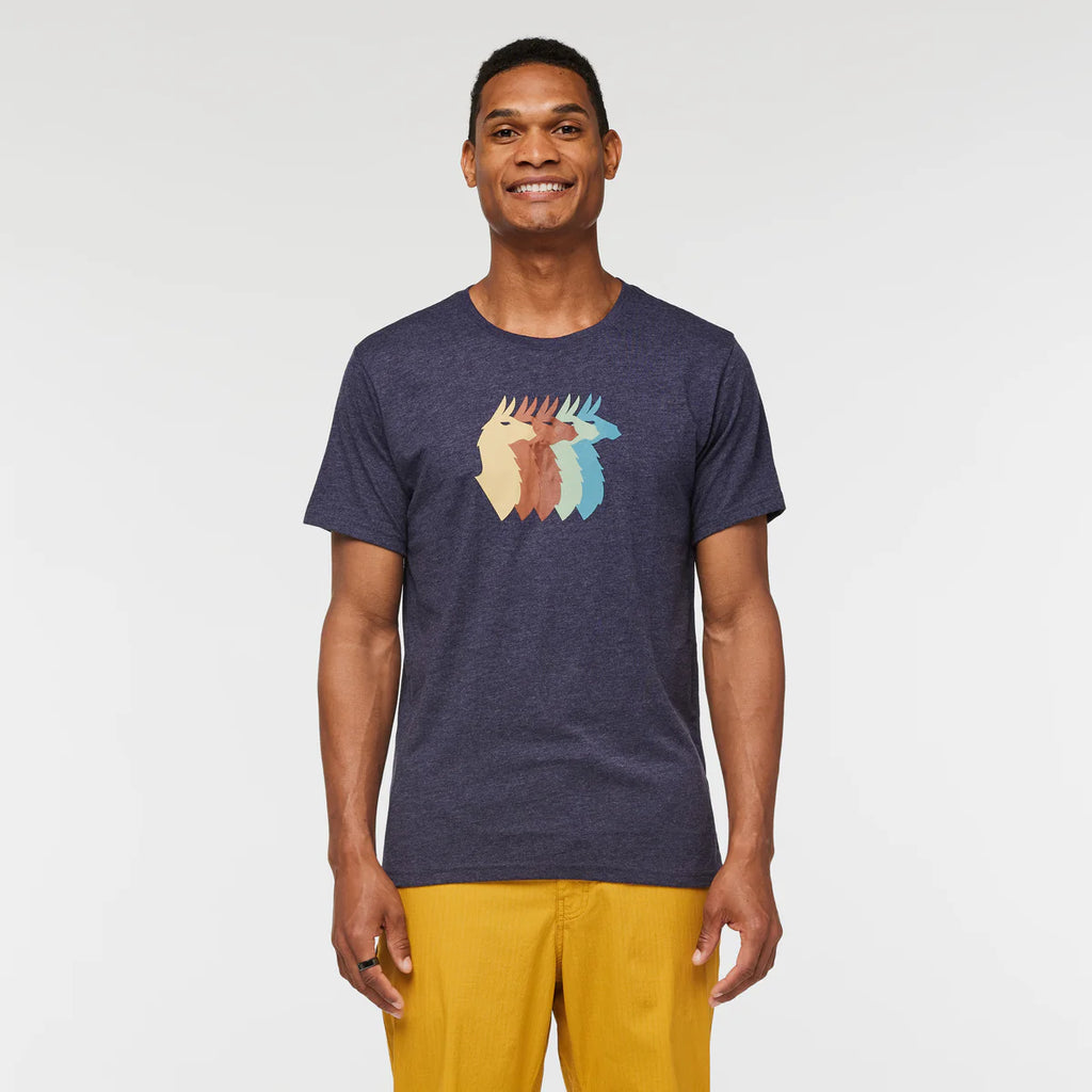 Llama Sequence T-Shirt - Men's