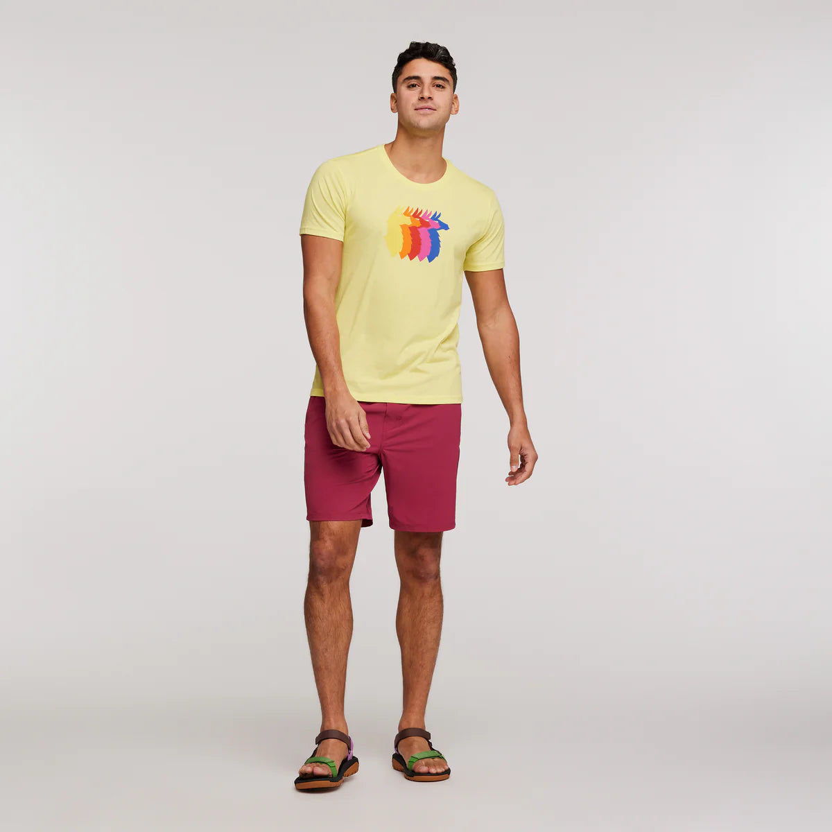 Llama Sequence T-Shirt - Men's