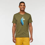 Llama Stripes T-Shirt - Men's