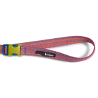 Del Día Dog Leash