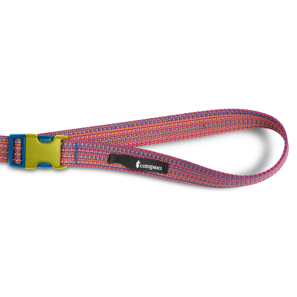 Del Día Dog Leash