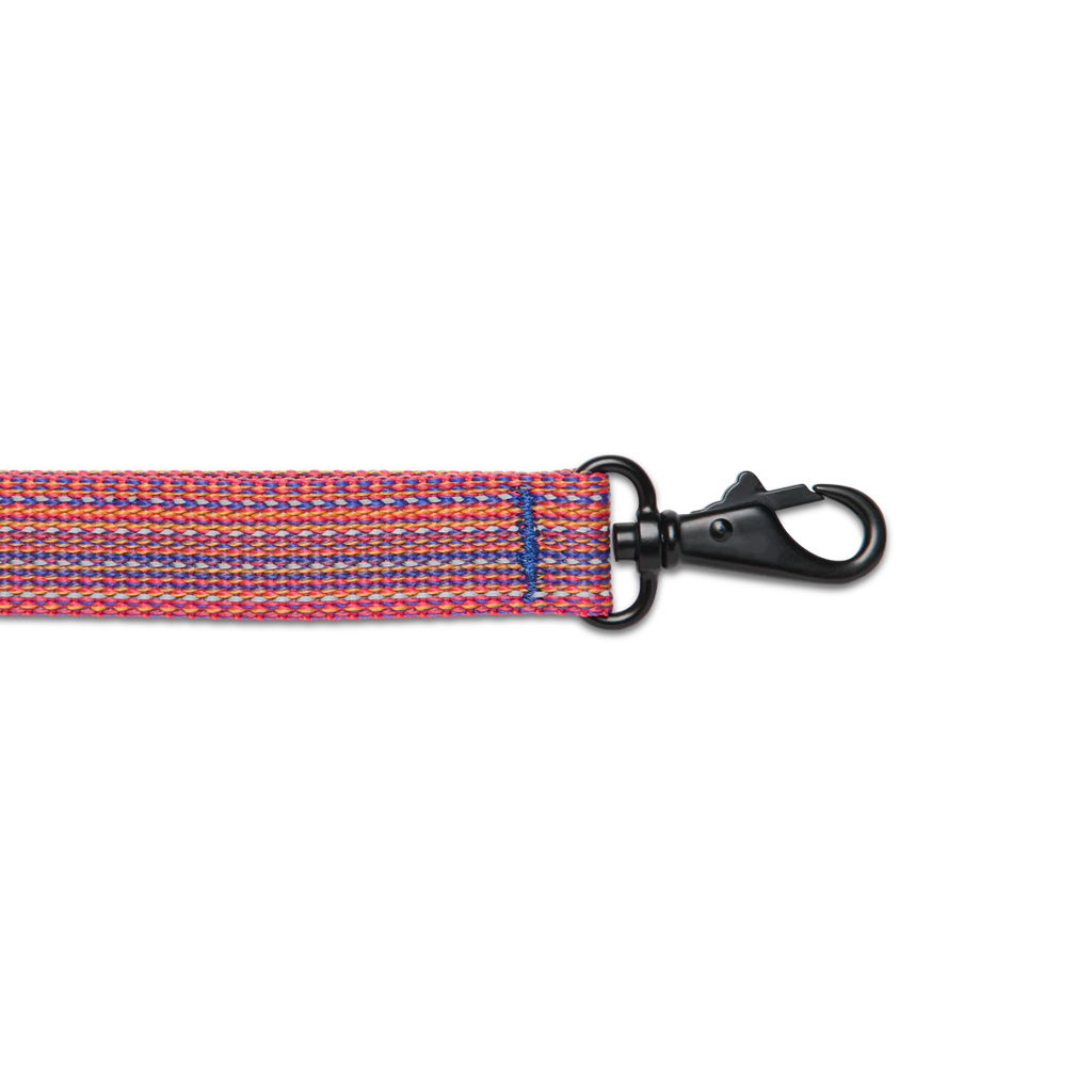 Del Día Dog Leash