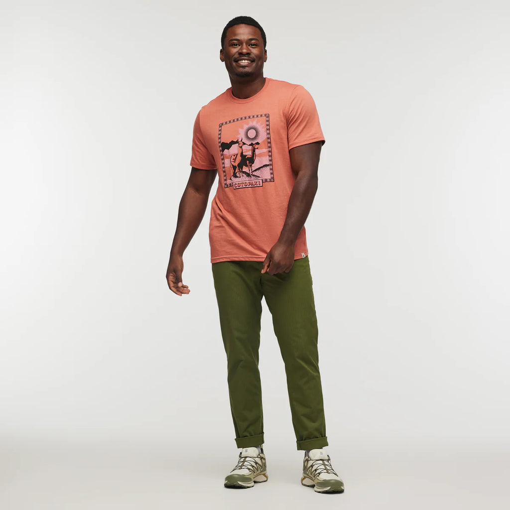 Llama Greetings T-Shirt - Men's