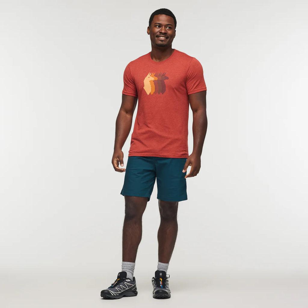 Llama Sequence T-Shirt - Men's