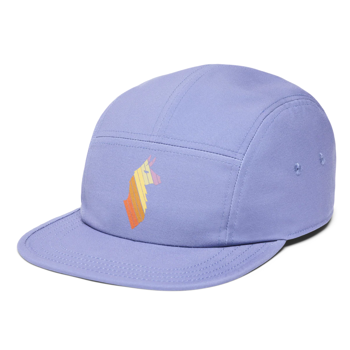 Llama Stripes 5-Panel Hat