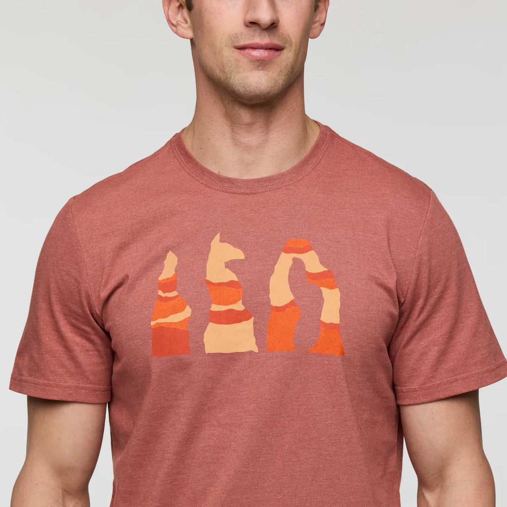 Llama Hoodoo T-Shirt - Men's