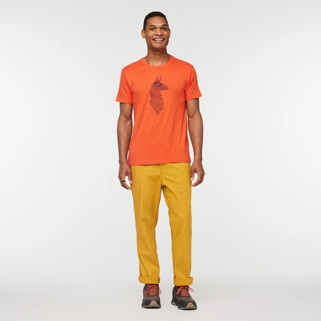 Topo Llama T-Shirt - Men's