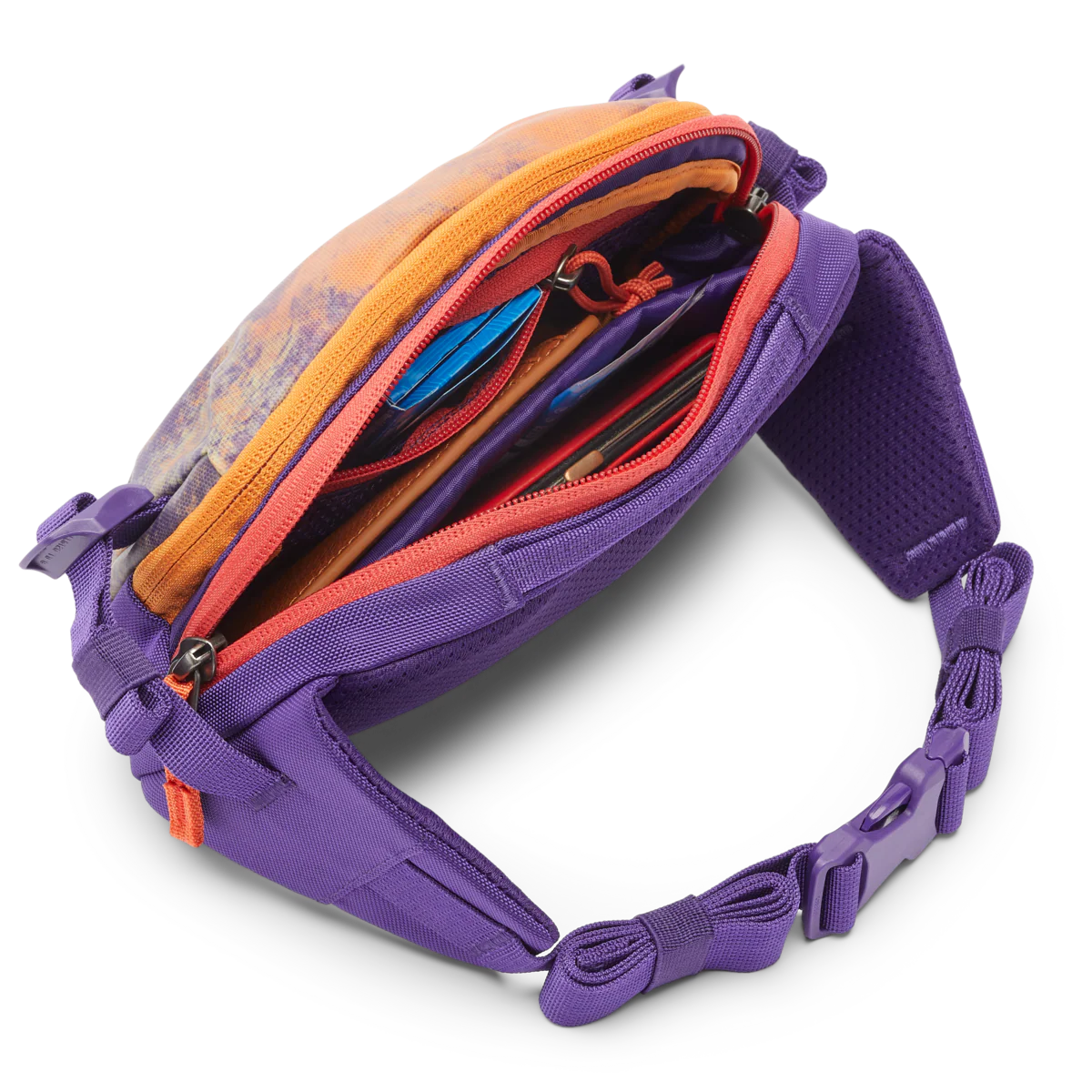 Allpa X 1.5L Hip Pack - Print