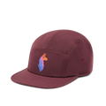 Llama Stripes 5-Panel Hat