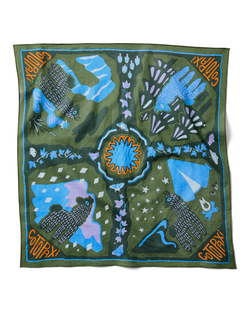 Organic Cotton Bandana