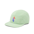 Llama Stripes 5-Panel Hat